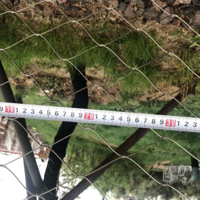 China Customized Anti-fall Stainless Steel Wire Rope Mesh Net Prevention Safety Net for Lights for sale