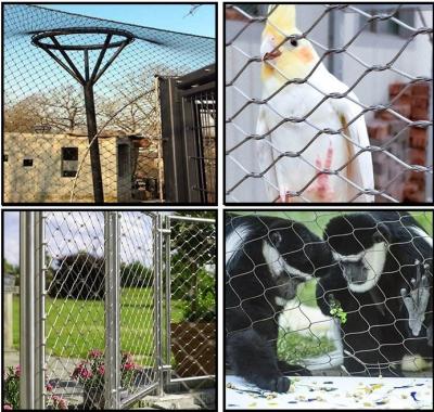 Cina Maglia di filo in acciaio inossidabile personalizzata per gabbie per uccelli 1,5 mm 1,6 mm in vendita