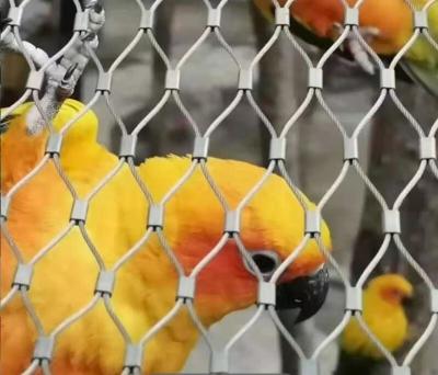 China 2mm Cable Rope 50X50mm Aperture Stainless Steel Rope Mesh for Zoo Fencing with Impact Absorption No Sharp Edges and Fireproof for sale