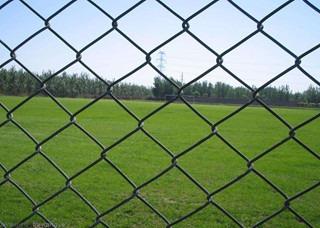 China 11.5 gauge Green PVC Coated Galvanised Steel Chain Link Fencing 20m 30m for sale