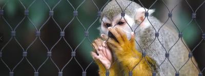 중국 316 스테인리스 스틸 케이블 메쉬 네팅 1mm-3mm 와이어 직경 판매용