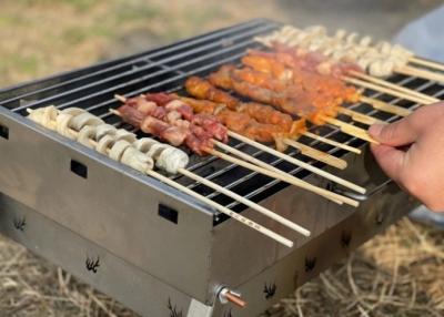Chine Le feu galvanisé Pit Grill Velp de camping de gril de BARBECUE de Mesh For en métal de poissons de rôti de fil à vendre