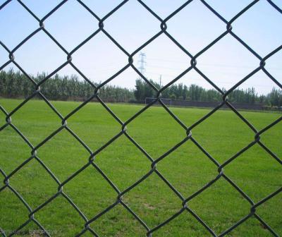 China 3mm 12 Gauge Chain Link Fence Pvc Coated Green 6x50 for sale