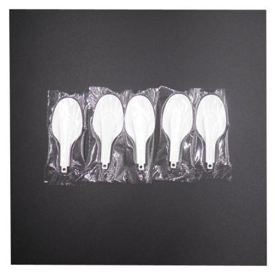 China 13cm 9.5cm Plastic Yogurt Spoon Folding Ice Cream Spoons Disposable Non Odor for sale