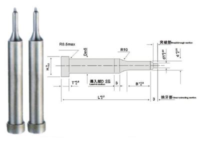 中国 AISI DINのヘッド金属SKD11の出版物のダイスの部品のあたりの試験穿孔器セット 販売のため