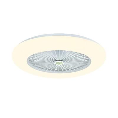 China Dimming Hanging Ceiling Fan With Light 42in Bladeless Fan Ceiling for sale