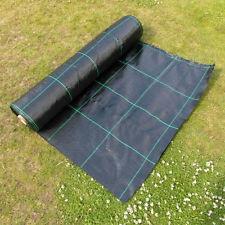 China 125gsm 14x14 Heavy Duty Weed Control Fabric Ground Cover Membrane For Greenhouse for sale