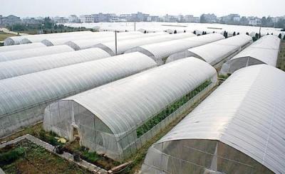 中国 200-300ミクロンの温室のカバー シート、園芸の庭の温室のラップ 販売のため