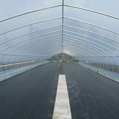 China UV Resistant 300micron Horticultural Plastic Film Polyethylene Greenhouse Cover for sale