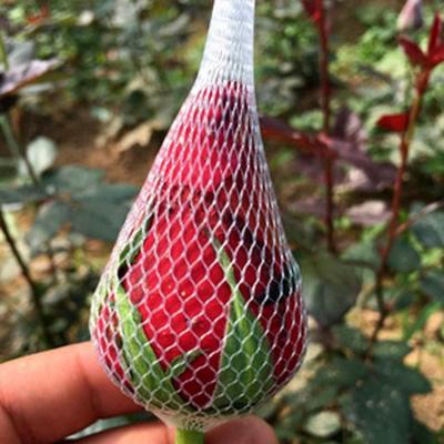China 1mm 2mm Rose Bud Net Plastic Packaging , LDPE HDPE Flower Bud Net for sale