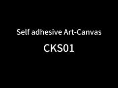 Self adhesive wall canvas