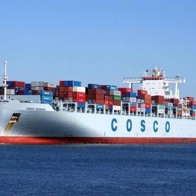 中国 小企業のスペインの柵の海洋の輸入の整理のための最も安いDDPの国際海運 販売のため