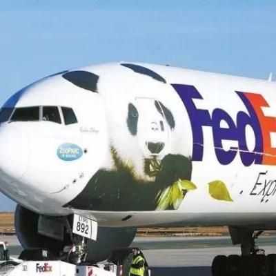 Chine La livraison express vers la France lève l'expédition internationale porte-à-porte de DHL Fedex à vendre
