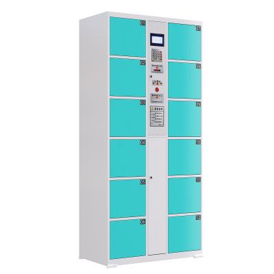 China Outdoor Digital Postal Service Wardrobe Locker Laundry Cabinet Smart Parcel Delivery Locker en venta