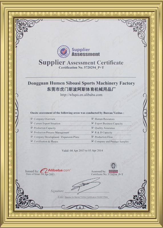BV - Dongguan Skyegle Intelligent Technology Co.,Ltd.