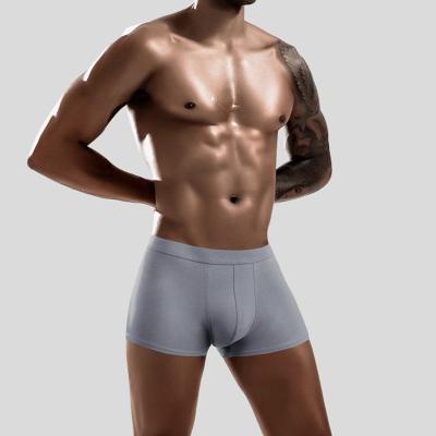 China Modal Mens Boxer Shorts Underwear Adults Knitted Breathable Boxer Shorts Suitable for sale