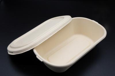 China Bento Biodegradable Disposable Dinnerware Salad Compostable Takeaway Container for sale