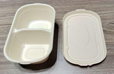 China 100% Biodegradable Disposable Dinnerware Compostable Sugarcane Food Container for sale
