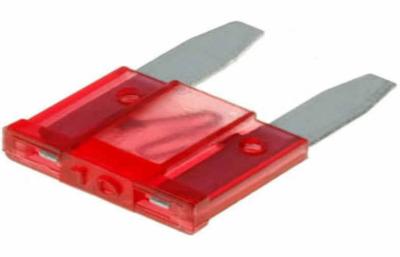 China Red Mini Auto Blade Fuse For Fuse Holder , Mini Automotive Fuse for sale