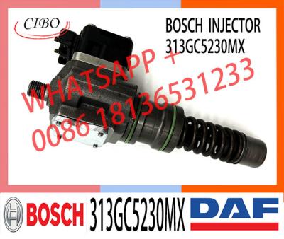 China Injector Pump 313GC5230M 313GC5230MX For DAF XF95 95XF 480 CF75/85 for sale