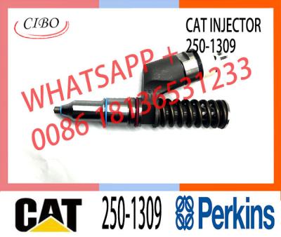 China High Performance Fuel injector Assembly 250-1309 253-0608 259-5409 Common Rail Fuel Injector 292-3666 10R-1305 For CAT for sale