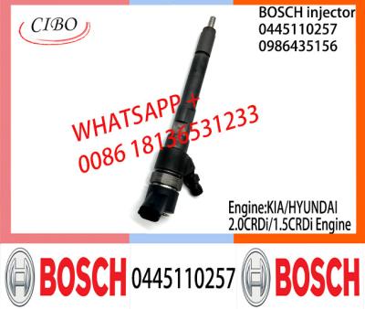 China BOSCH injetor 0445110257 0986435156 Common fuel Injector 0445110257 0986435156 for KIA/HYUNDAI 2.0CRDi/1.5CRDi zu verkaufen