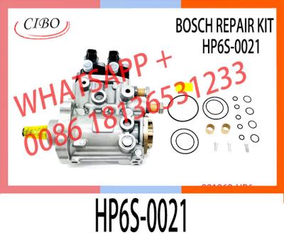 Chine Kit de réparation de pompe à carburant diesel de haute qualité pour pompe dense HP6S-0021 à vendre