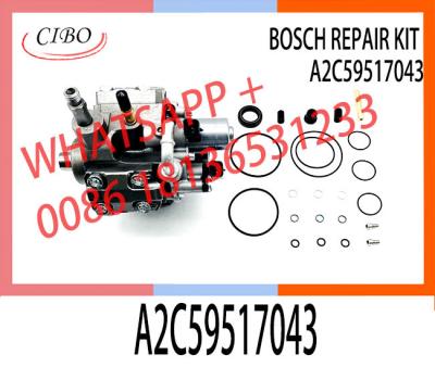 China High quality diesel fuel pump repair kit for vdo pump A2C59517043 for sale