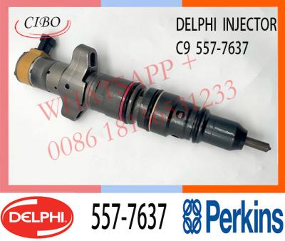 Κίνα 557-7637 DELPHI Fuel Injector 387-9437 553-2592 459-8473 232-1198 T434154R For Engine C7 προς πώληση