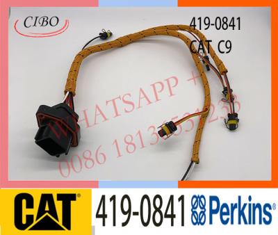 China Excavator C9 FOR CAT E330C E330D E336D Engine Injector Wire Harness 419-0841 215-3249 for sale