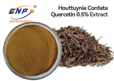 China High Quality Houttuynia Cordata Extract Powder Herba Houttuyniae Extract Quercetin for sale