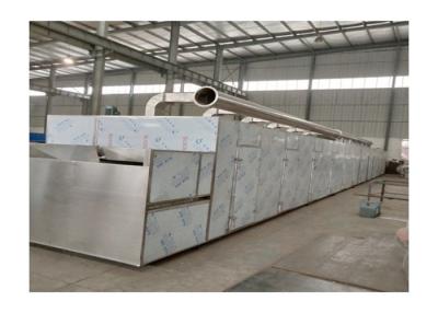 China 220v-450v transporte Mesh Belt Dryer à venda