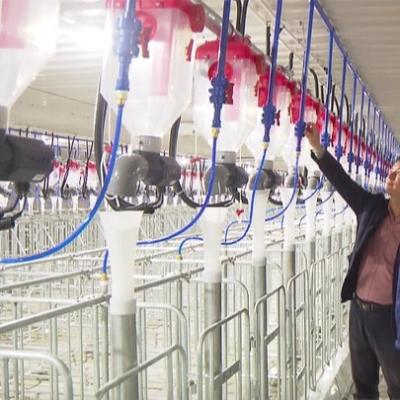 Chine Poulet élevant le buveur automatique de mamelon de l'eau de SUS d'accessoires de ferme avicole à vendre