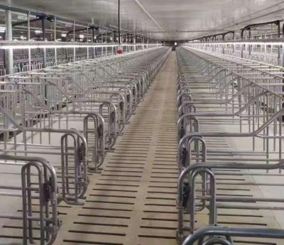 Chine PVC Ventilating Livestock Farm Equipment Automatic Galvanized Steel à vendre