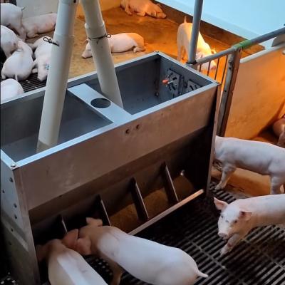 中国 Plastic Floor Livestock Farming Nursery Cage Stainless Steel 304 Feeder 販売のため
