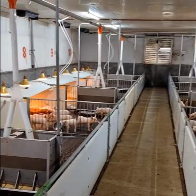 Chine Pure PP Livestock Farm Weaning Cage Plastic Floor Equipment à vendre