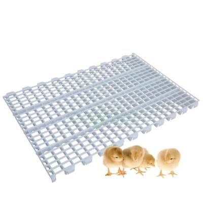 China High Strength Plastic Slatted Floor For Pig Goat Sheep Poultry 15-20 Years Service Life Te koop