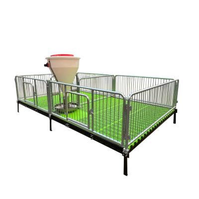China Pig Farm Industry Nursery Cage For Weaning Pigs for sale
