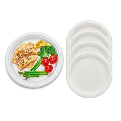 China Microwaveable Eco Friendly Packaging Compostable Sugarcane Plates Biodegradable Pulp Molded for sale