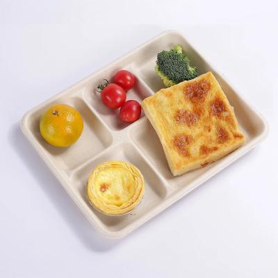 China 260MM Pakacging Sugarcane Bagasse Tray 5 Compartment Meal Tray Pulp Molded for sale