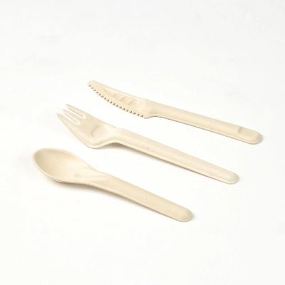 China 165mm White Compostable Sugarcane Bagasse Sugarcane Disposable Cutlery Fork Knife Spoon for sale