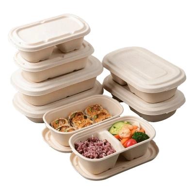 China Take Away Compostable Sugarcane Container Lunch 2 Compartment Food Containers for sale