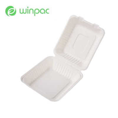 China Disposable Biodegradable Take Away Food Container 6 Inch Sugarcane Bagasse Lunch Box for sale