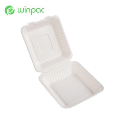 China Sugarcane Bagasse Eco Friendly Disposable Food Containers For Takeaway 8 Inch for sale