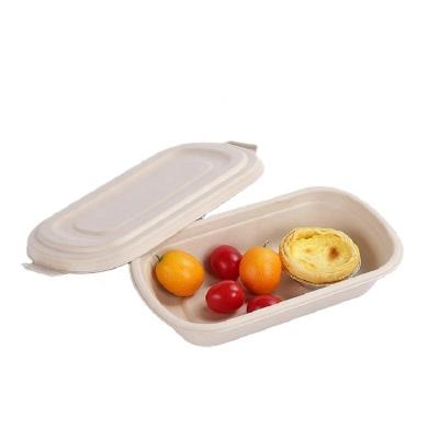 China 850ml Compostable Sugarcane Bagasse Takeaway Eco Friendly Disposable Lunch Boxes for sale