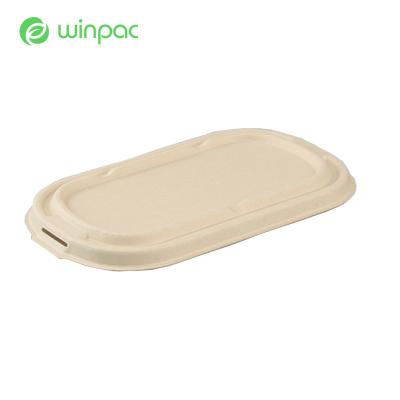 China White Biodegradable Take Away Containers Disposable Eco Friendly Takeaway Packaging Lid for sale