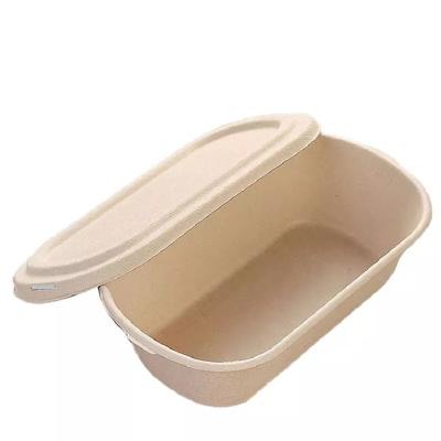 China 850ml 1000ml Compostable Sugarcane Container Disposable Take Away Lunch Box for sale