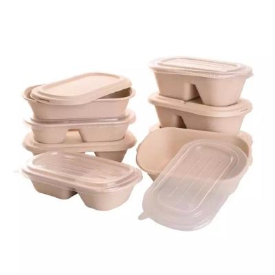 China Disposable Compostable Take Away Food Containers Sugarcane Bagasse Tableware Box for sale