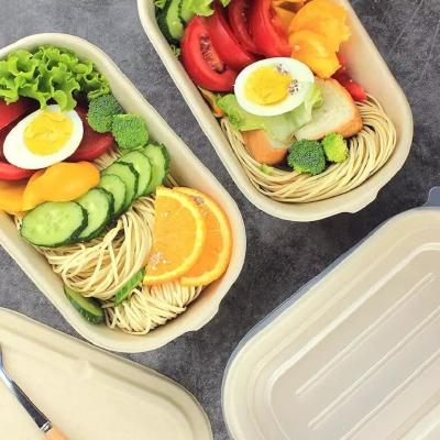 China Home Compostable Sugarcane Container Microwavable Meal Take Out Food Containers for sale