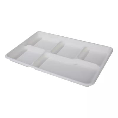 China Biodegradable 5 Compartment Disposable Food Tray Sugarcane Bagasse Biodegradable Pulp Tray for sale